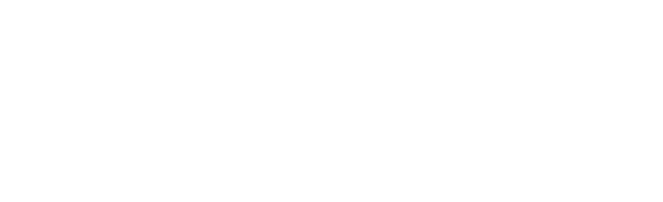 Americo Group